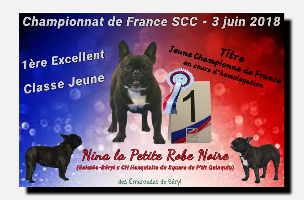 Des Emeraudes De Béryl - Championnat de France SCC : Nina - 1ère Excellent classe Jeune