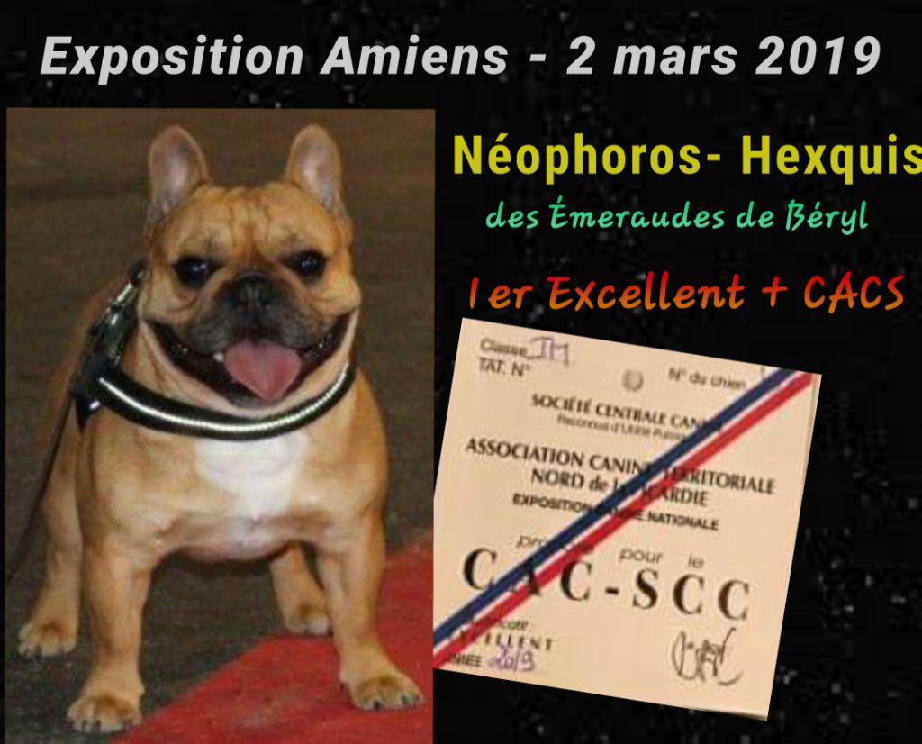 Des Emeraudes De Béryl - Exposition Amiens - 2 mars 2019