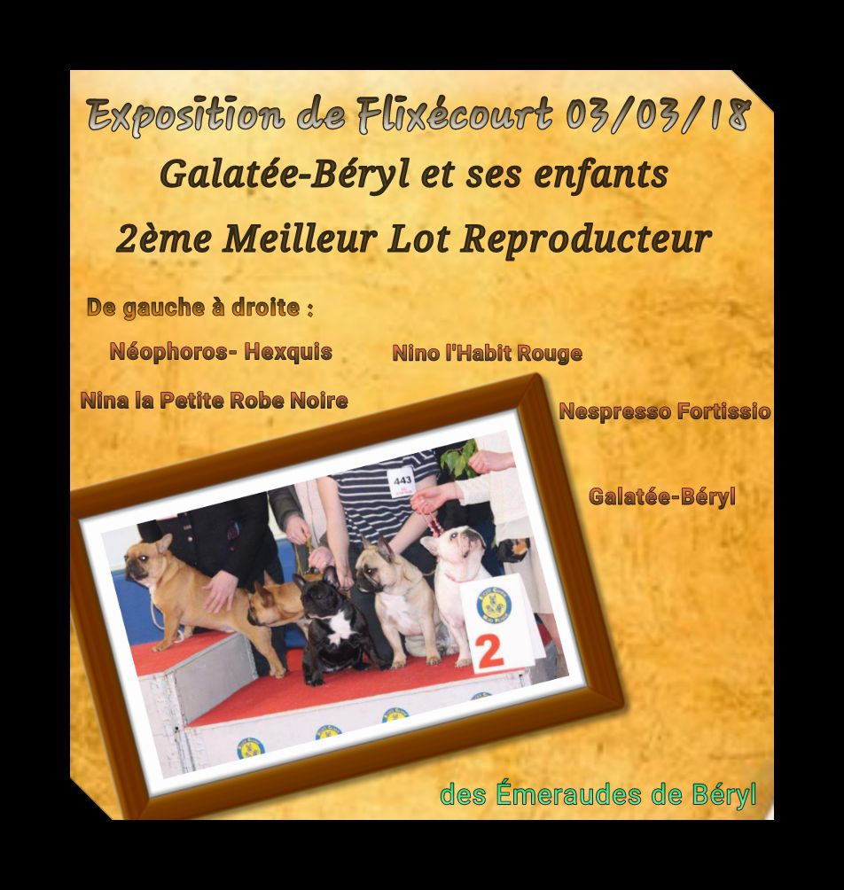 Des Emeraudes De Béryl - Exposition de Flixécourt - 03/03/18 - 2ème Meilleur Lot Reproducteur