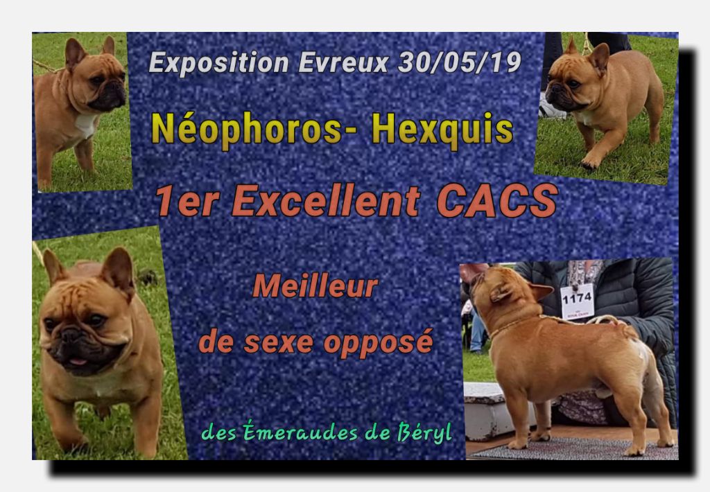 Des Emeraudes De Béryl - Exposition nationale Evreux - 30 mai 2019