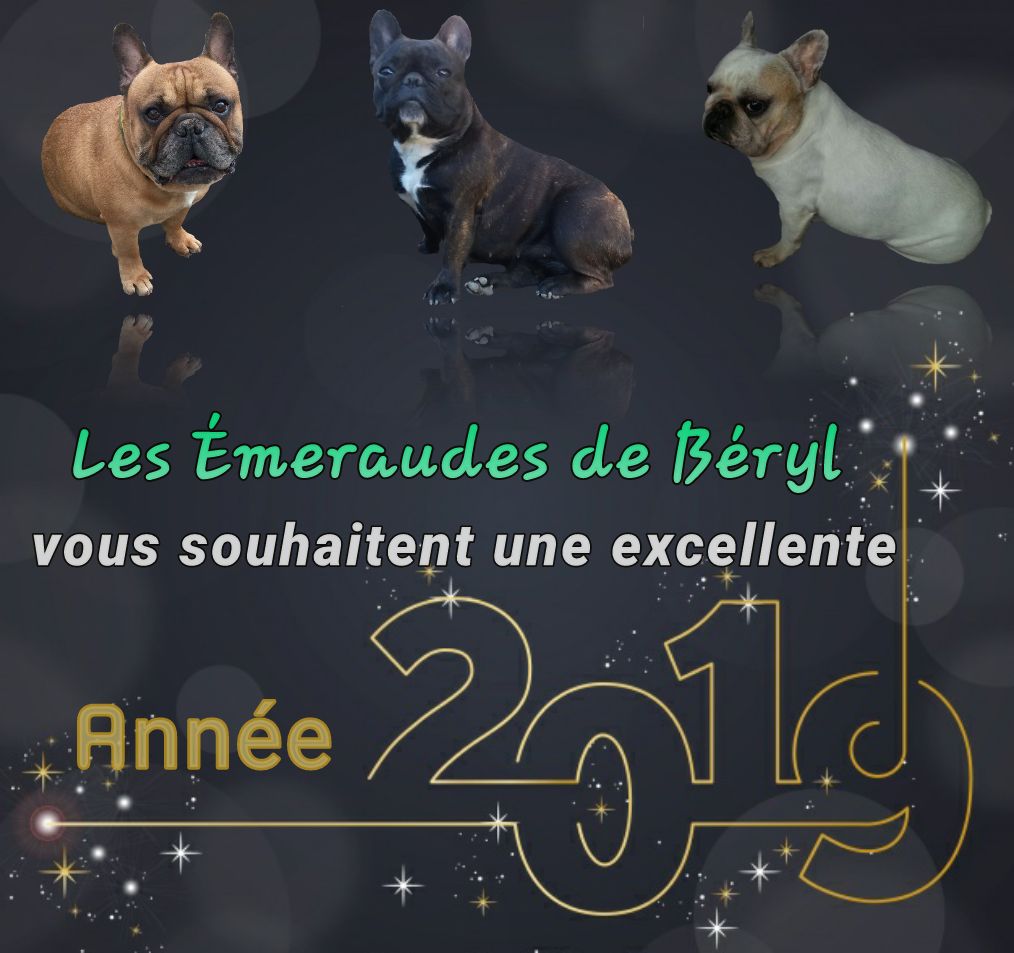 Des Emeraudes De Béryl - Bonne année 2019 !