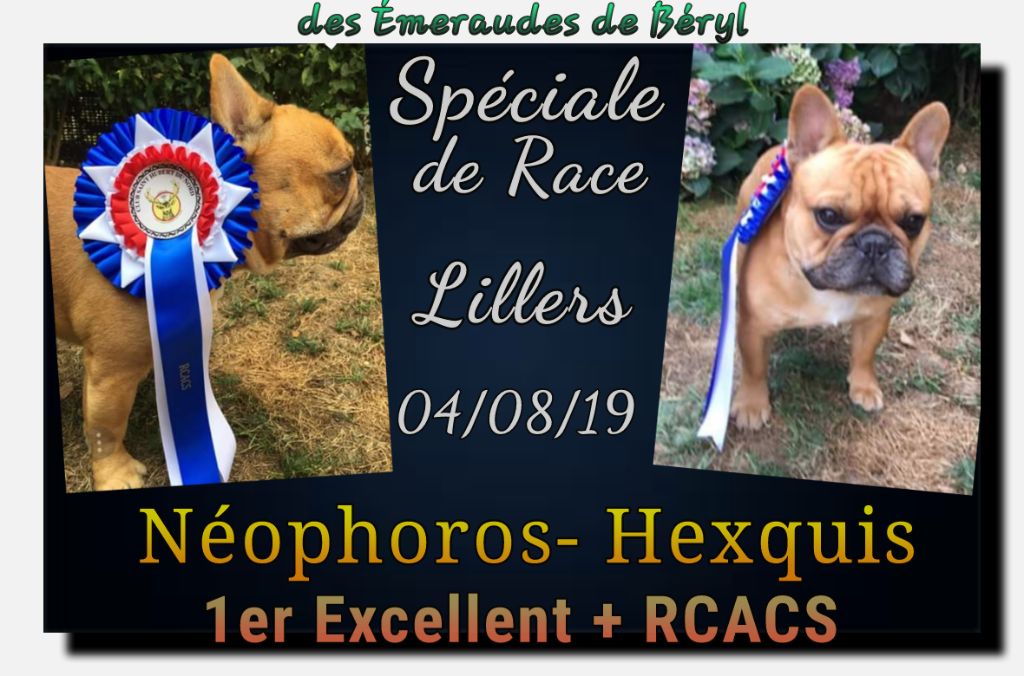 Spéciale de Race Lillers - 04/08/19