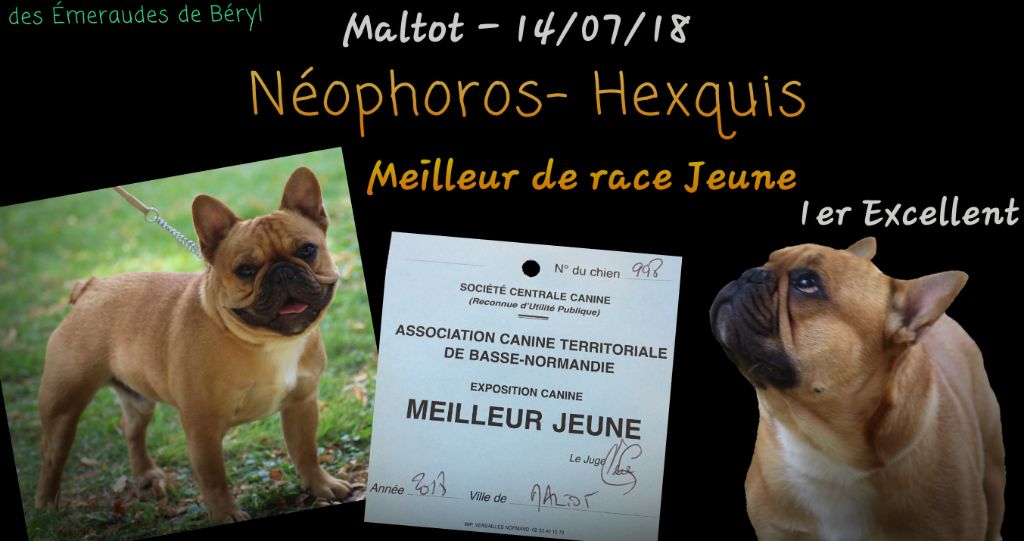 Des Emeraudes De Béryl - Exposition de Maltot - 14/07/18