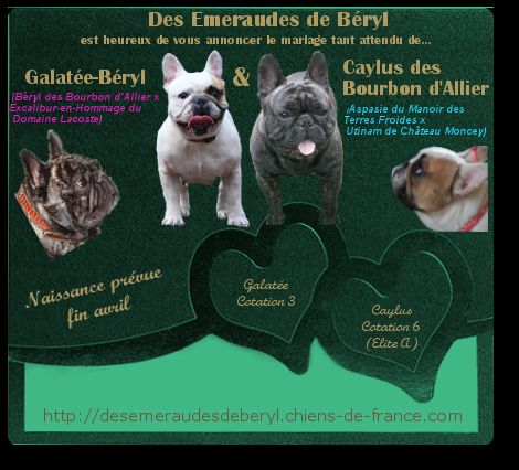 Des Emeraudes De Béryl - Des petites Émeraudes au chaud...