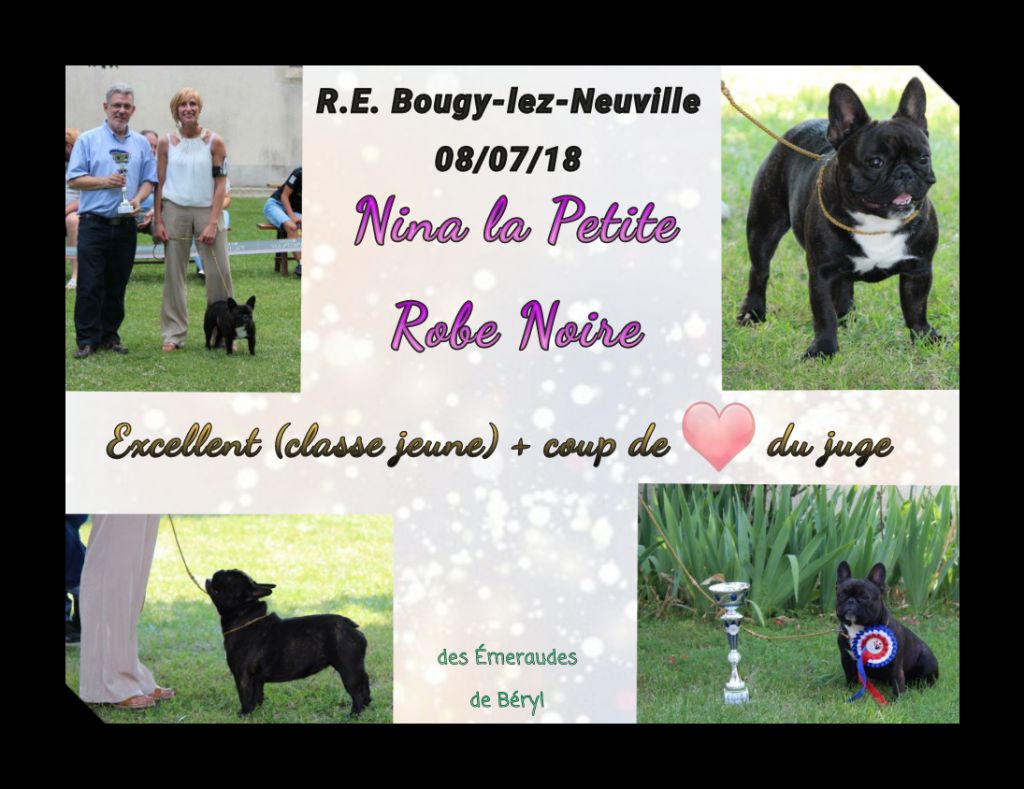 Des Emeraudes De Béryl - 08/07/18 - Régionale d'Élevage Bougy-lez-Neuville