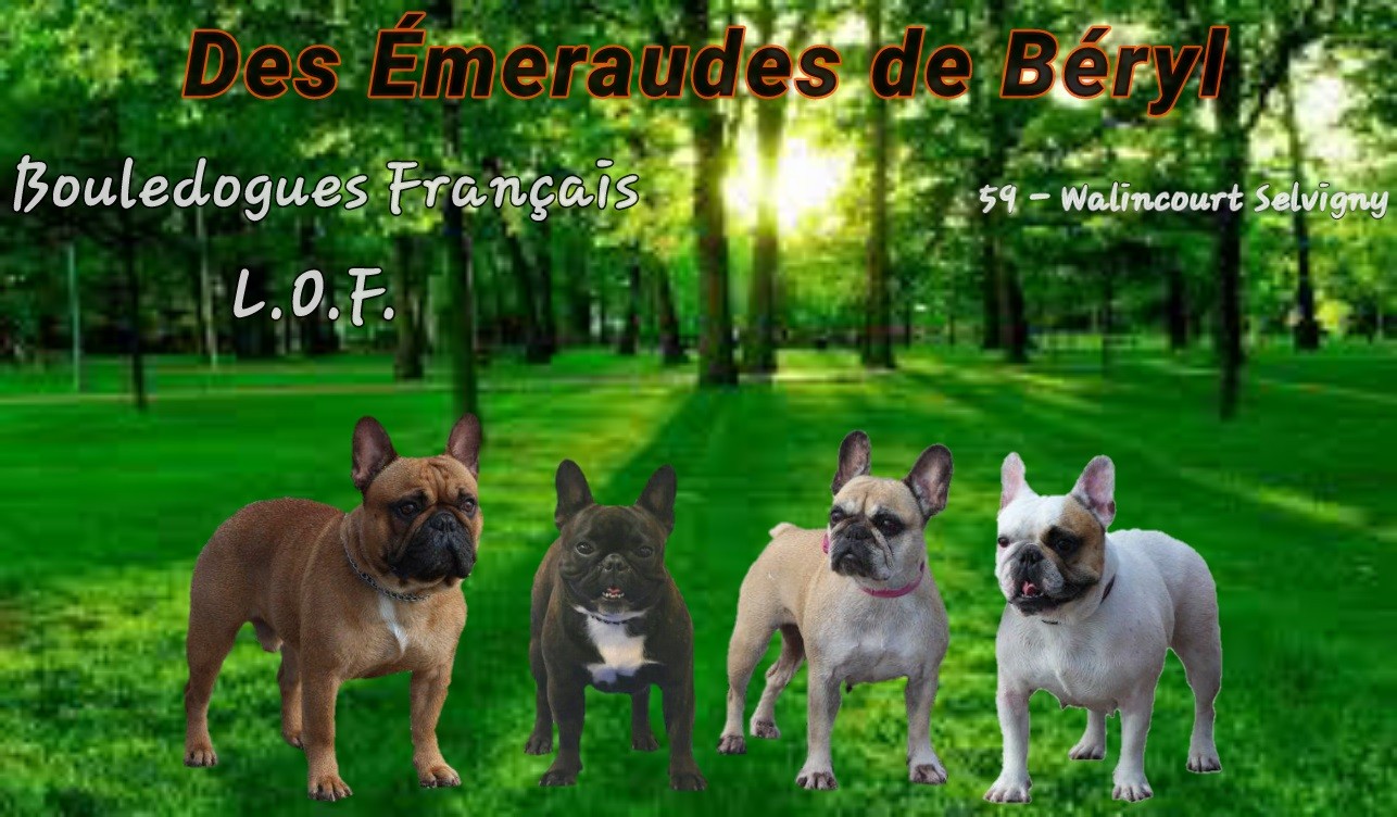 Des Emeraudes De Béryl